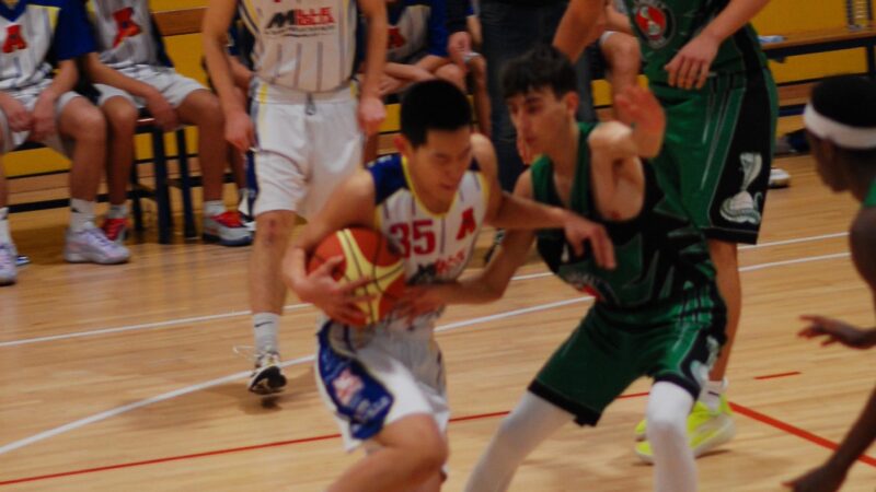under 17 gold: AP2020 inciampa con il REBA