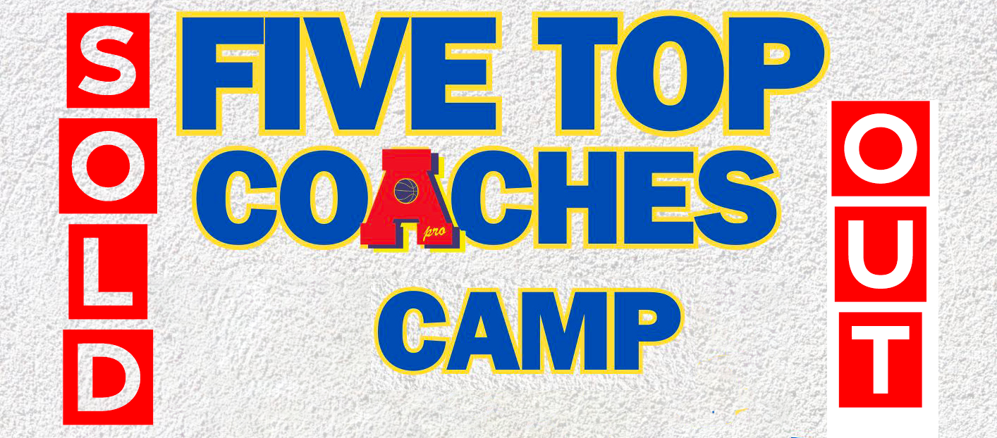 Five Top Coaches: il camp estivo a Piossasco e Rivalta